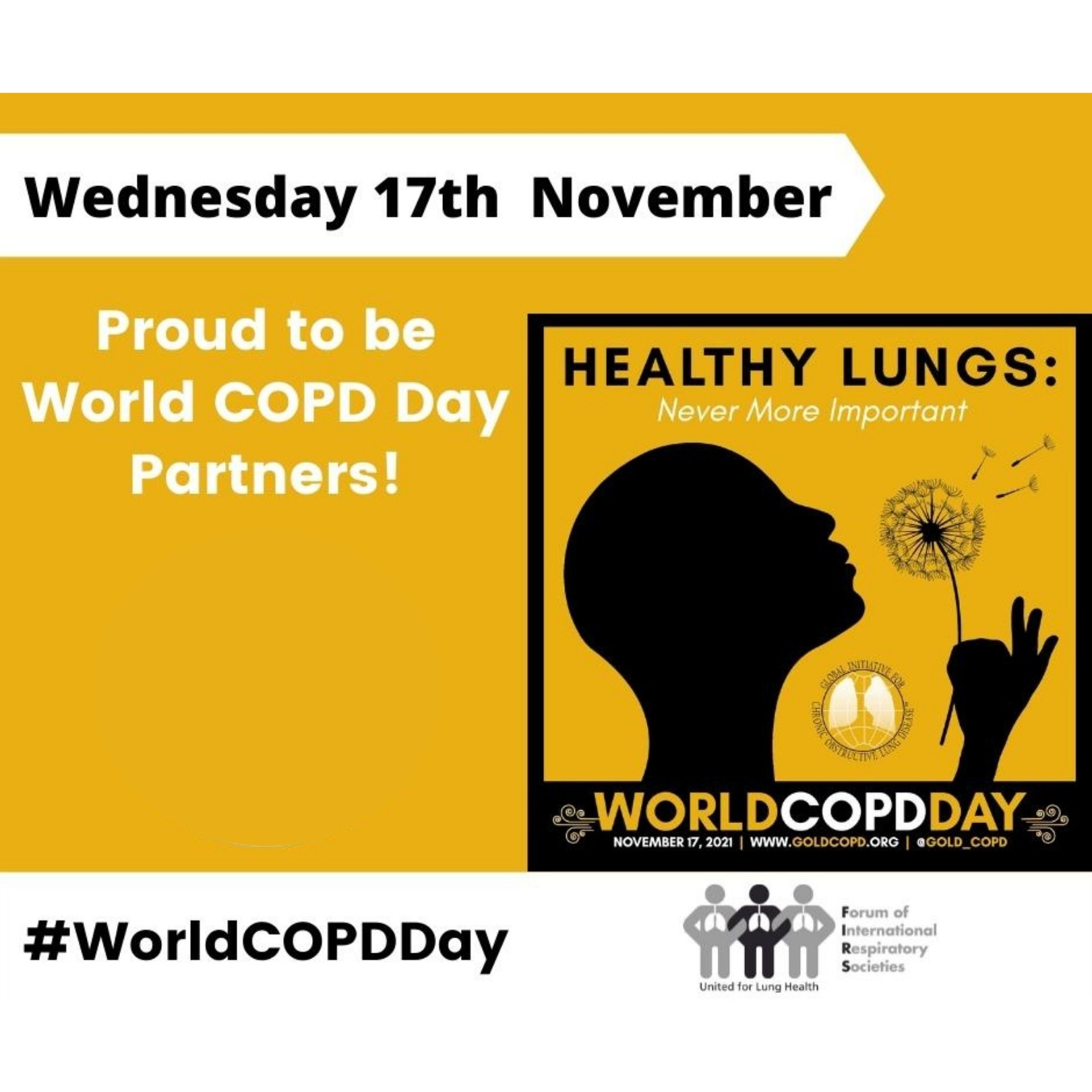 Healthy Lungs – Never More Important: World COPD Day