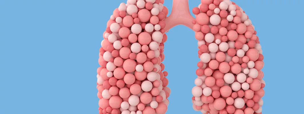 Lungs made of balloons